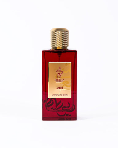 Amiri 100ml Eau De Parfum